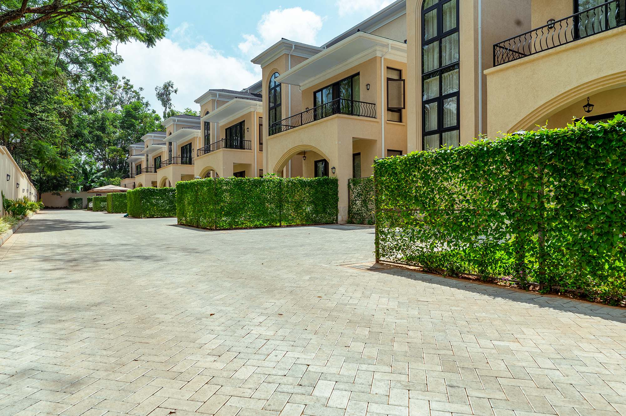 Muhoya Avenue